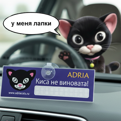Автотабличка "Кошка за рулем"