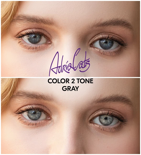 ADRIA Color 2 Tone Gray (серый)