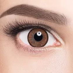Линзы Elegant Brown (карий) на серых глазах