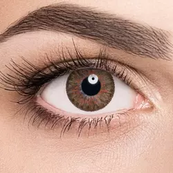 ADRIA Color 3 Tone Honey (медовый) на голубых глазах Линзы Color 3 Tone Honey (медовый) на голубых глазах