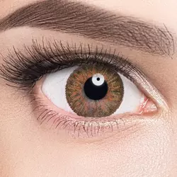 ADRIA Color 3 Tone Honey (медовый) на серых глазах Линзы Color 3 Tone Honey (медовый) на серых глазах