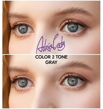 Линзы на глазах ADRIA Color 2 Tone Gray (серый) 2