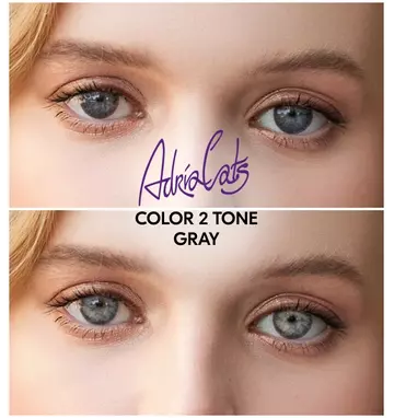 Линзы на глазах ADRIA Color 2 Tone Gray (серый)